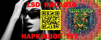 ПСИЛОЦИБИНОВЫЕ ГРИБЫ Кандалакша
