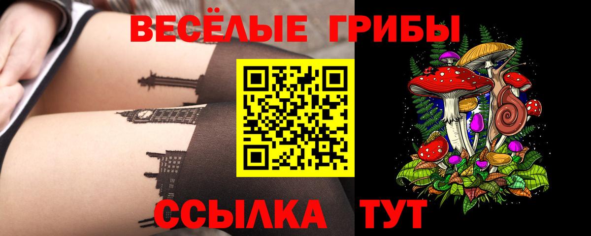 наркошоп  Вход с VPN  Кстово  Галлюциногенные грибы Psilocybe  Галлюциногенные грибы Psilocybine cubensis 